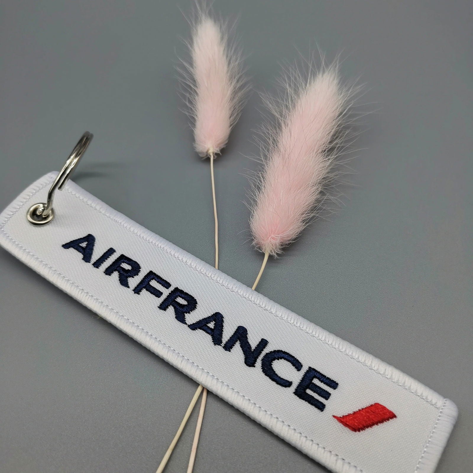 Porte Clé Airfrance