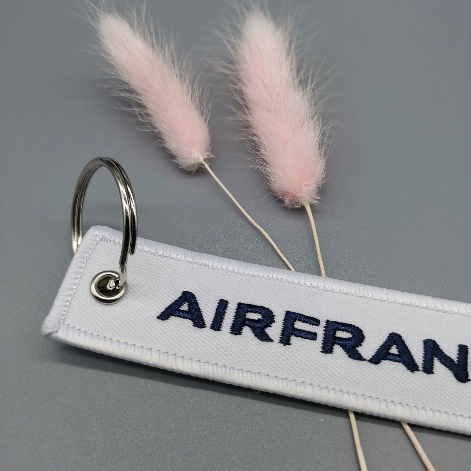 Porte Clé Airfrance