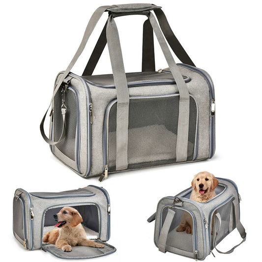 Sac Avion Chien