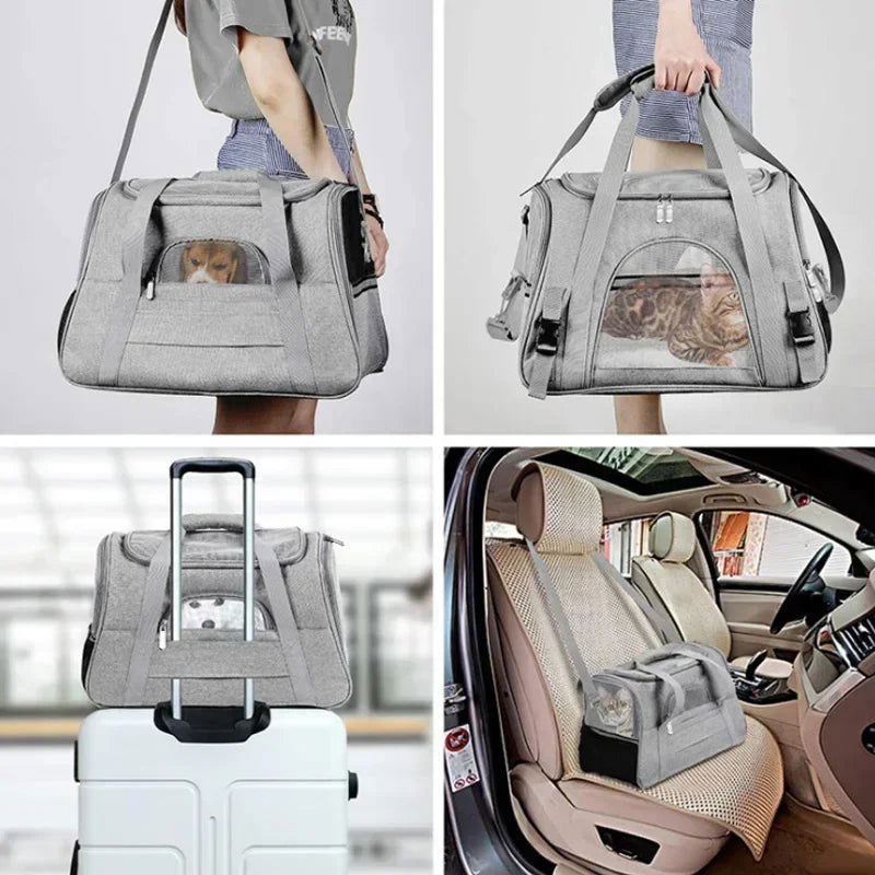 Sac Avion Pour Chien